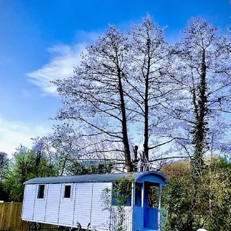 Willow Valley Glamping Bude Exterior foto